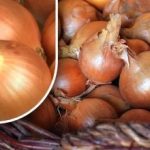 Πώς να διατηρήσετε τα κρεμμύδια ώστε να μην βλαστήσουν πριν